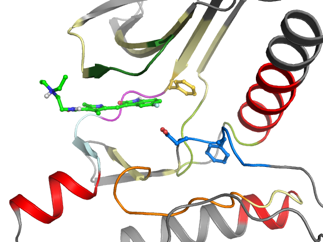 The orthosteric binding pocket