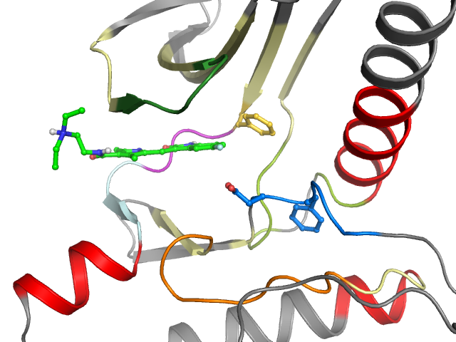 The orthosteric binding pocket