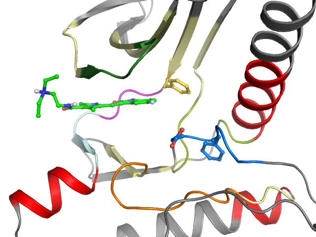 The orthosteric binding pocket