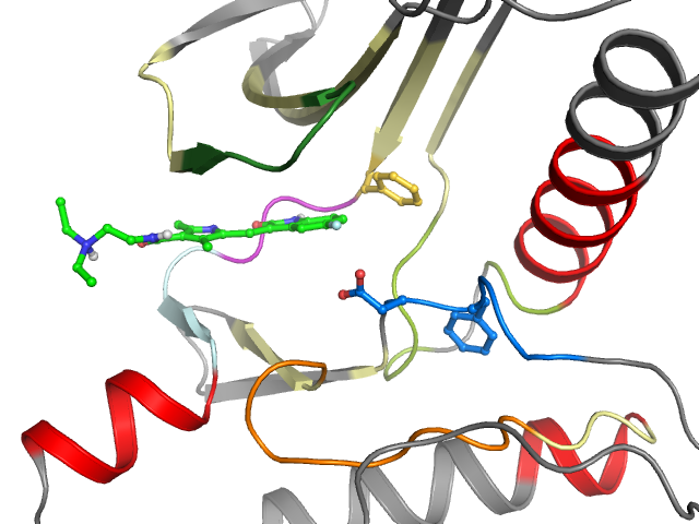 The orthosteric binding pocket