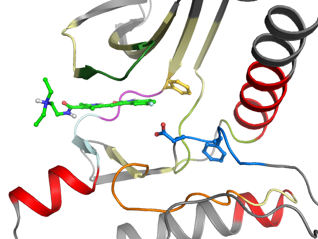 The orthosteric binding pocket