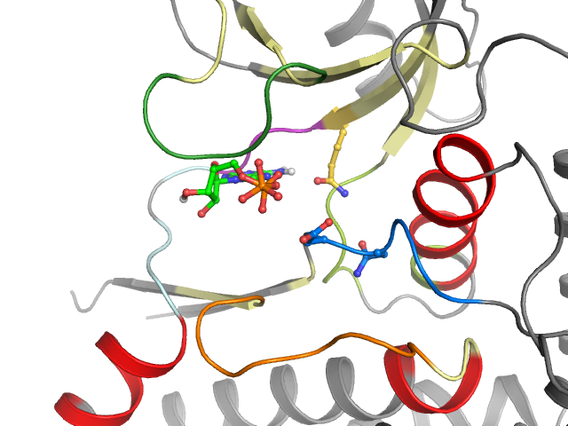 The orthosteric binding pocket