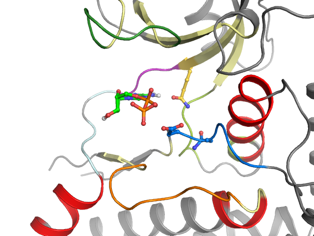 The orthosteric binding pocket
