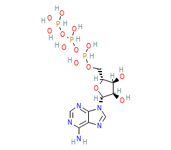 2D structure of the allostericligand
