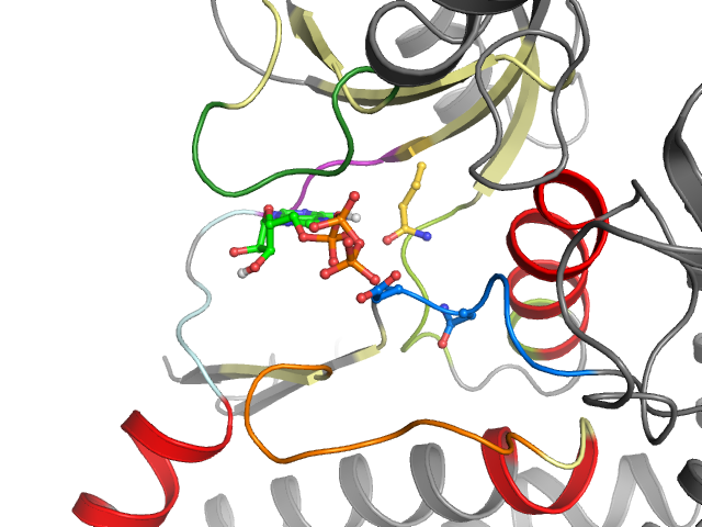 The orthosteric binding pocket