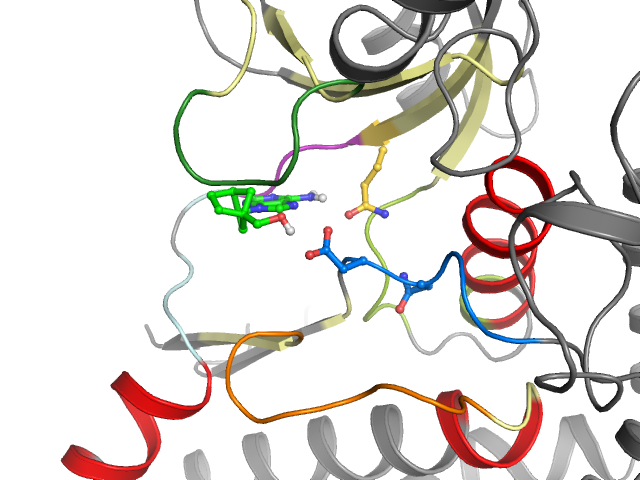 The orthosteric binding pocket