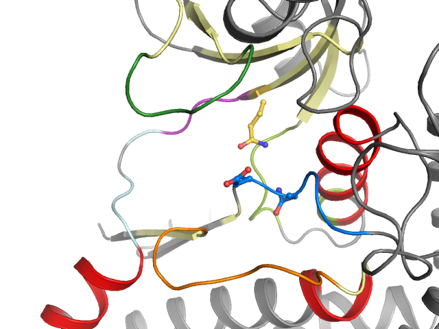 The orthosteric binding pocket