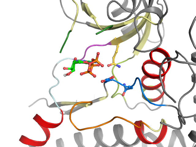 The orthosteric binding pocket