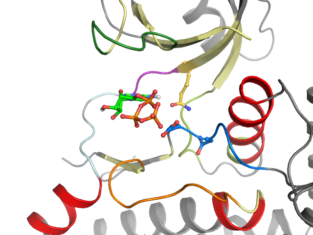 The orthosteric binding pocket