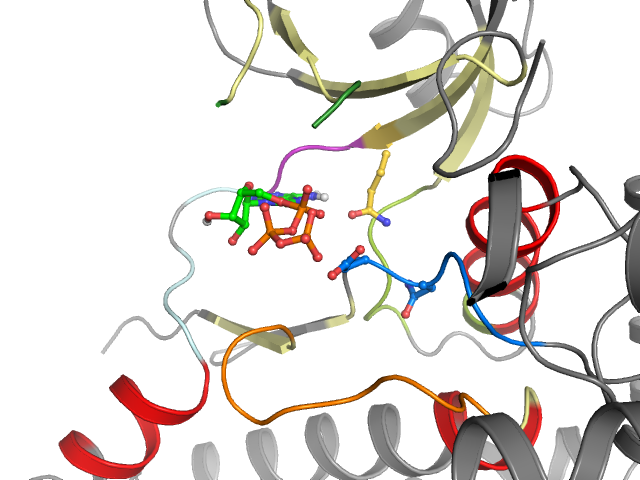 The orthosteric binding pocket