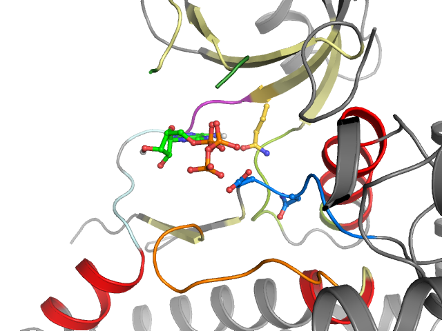 The orthosteric binding pocket