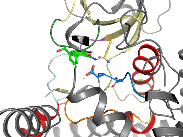The orthosteric binding pocket