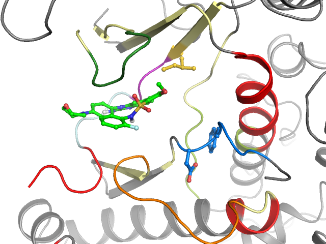 The orthosteric binding pocket