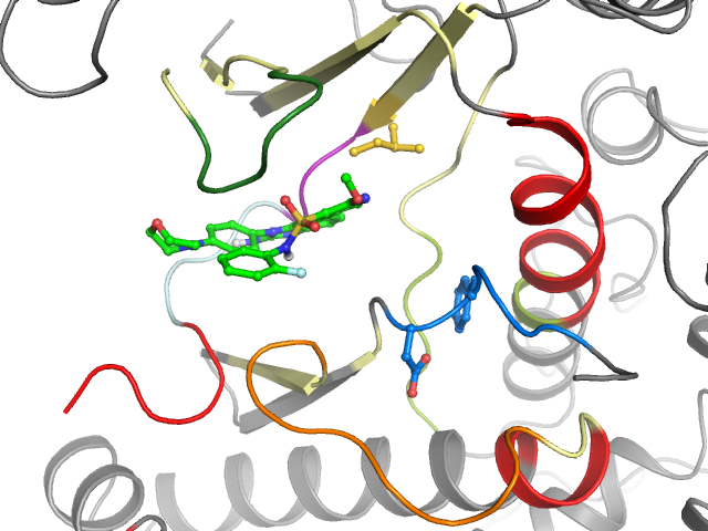 The orthosteric binding pocket