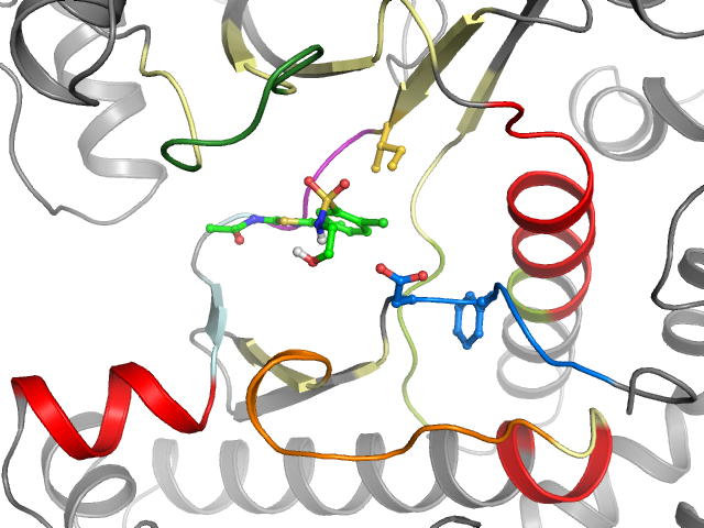 The orthosteric binding pocket