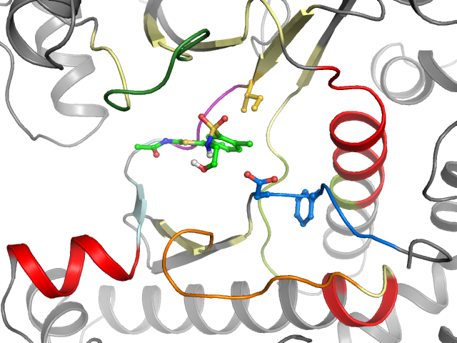 The orthosteric binding pocket