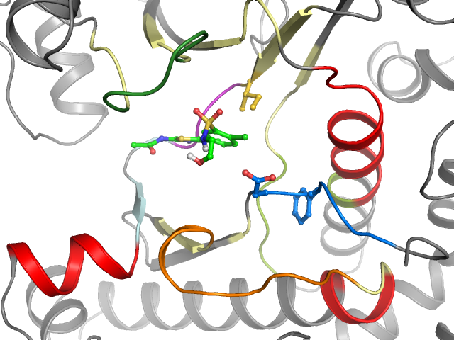 The orthosteric binding pocket