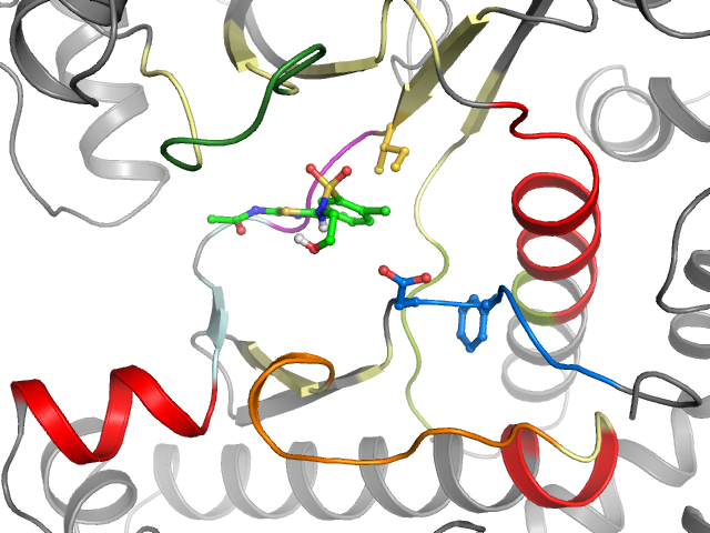 The orthosteric binding pocket