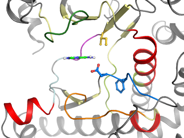The orthosteric binding pocket