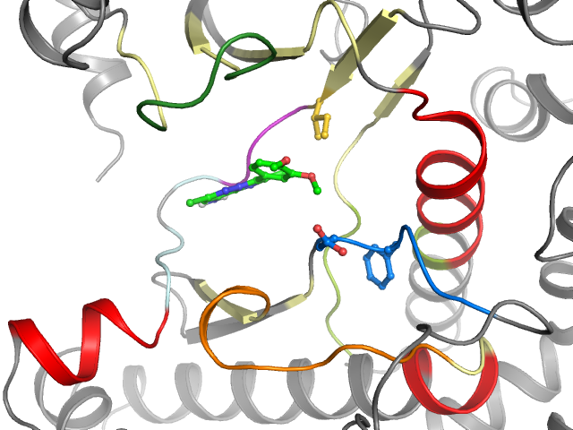 The orthosteric binding pocket