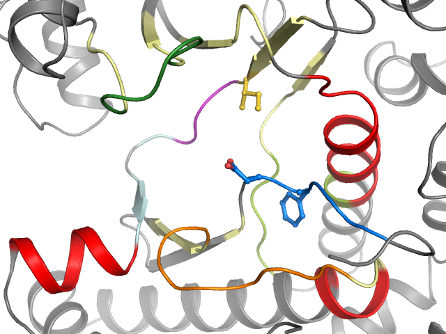 The orthosteric binding pocket