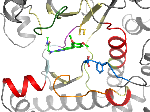 The orthosteric binding pocket