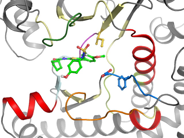 The orthosteric binding pocket
