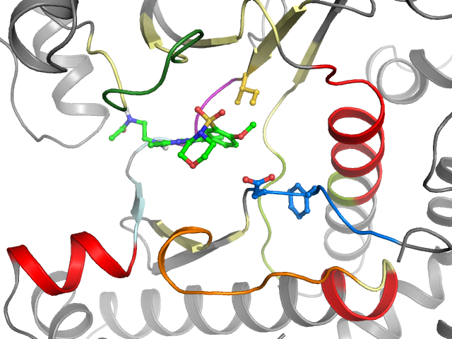 The orthosteric binding pocket