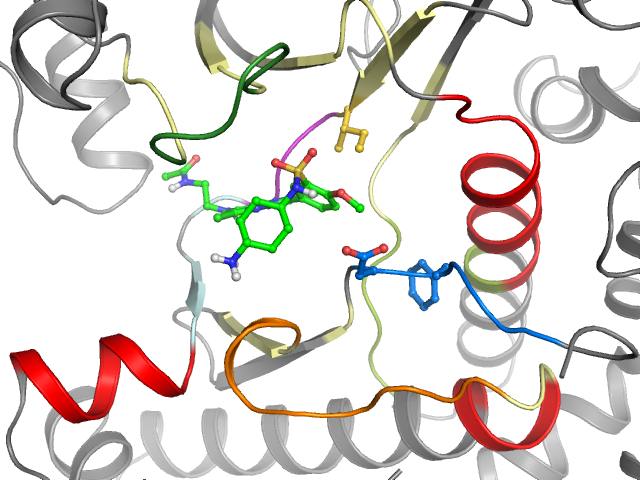 The orthosteric binding pocket