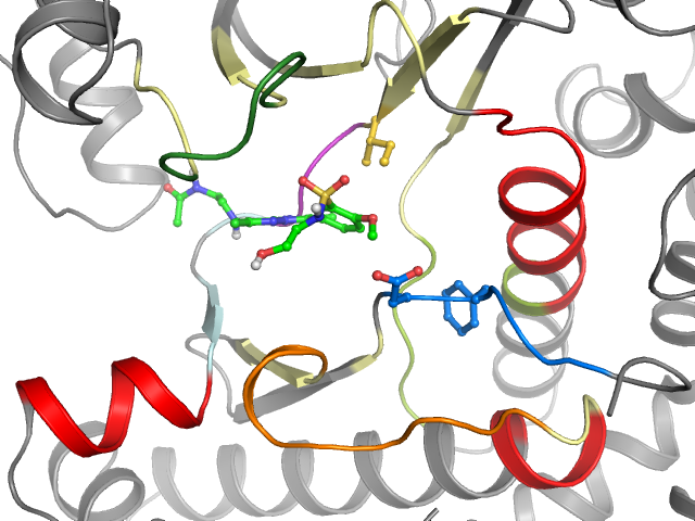 The orthosteric binding pocket