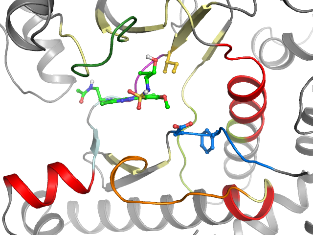 The orthosteric binding pocket
