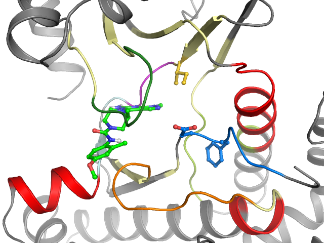 The orthosteric binding pocket