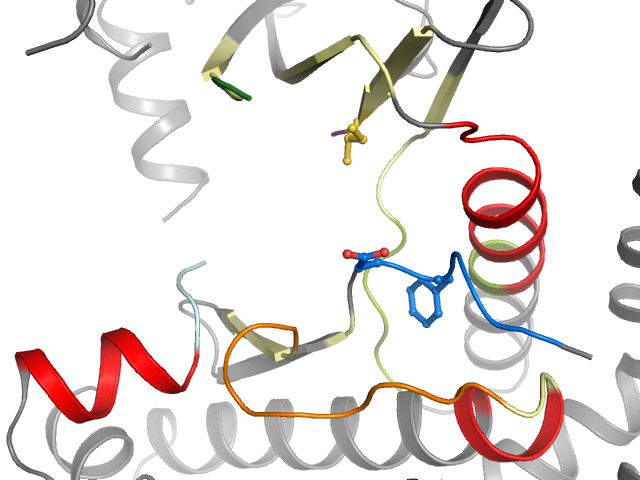 The orthosteric binding pocket