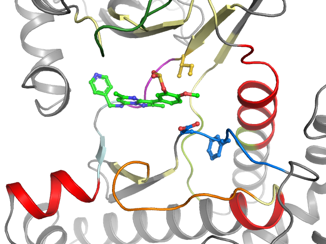 The orthosteric binding pocket