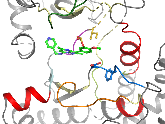 The orthosteric binding pocket