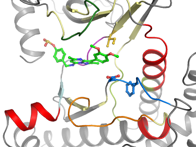 The orthosteric binding pocket