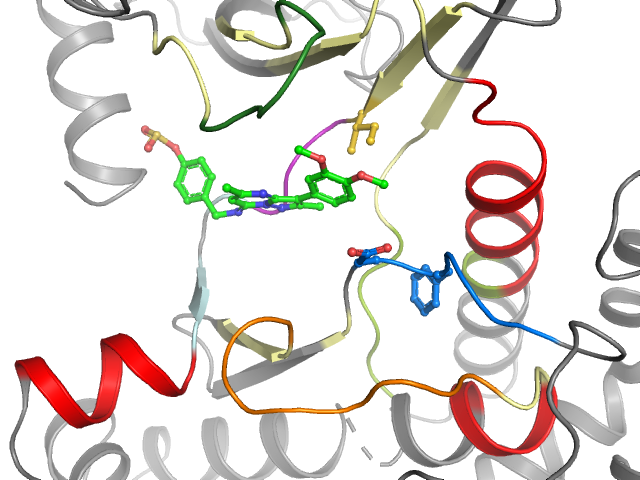The orthosteric binding pocket
