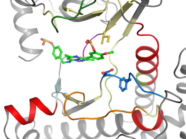 The orthosteric binding pocket