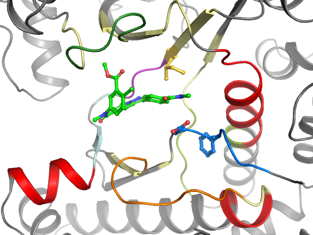 The orthosteric binding pocket