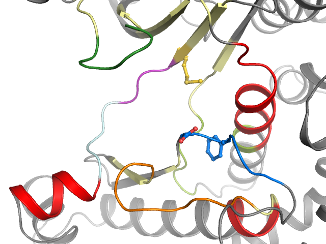 The orthosteric binding pocket