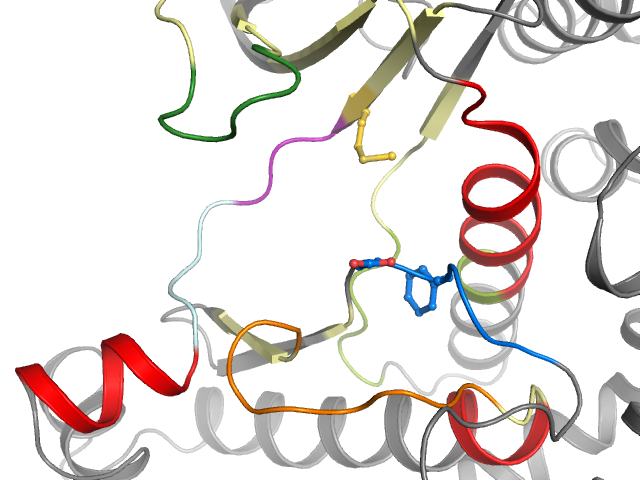 The orthosteric binding pocket