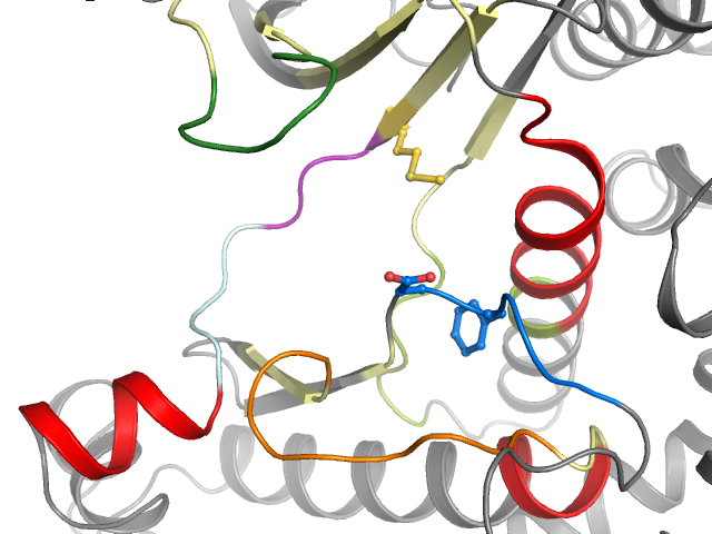 The orthosteric binding pocket