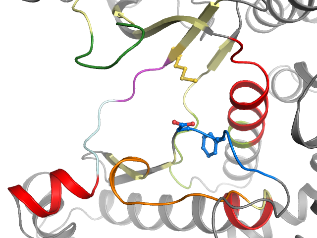 The orthosteric binding pocket