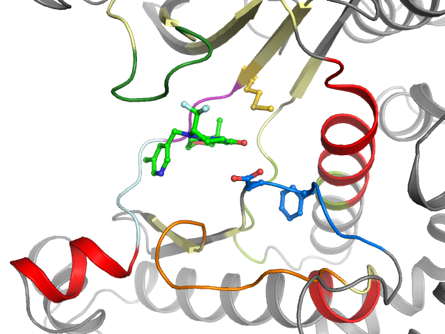 The orthosteric binding pocket