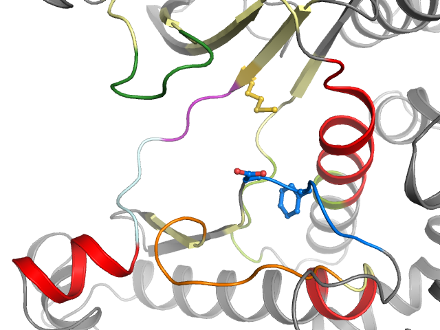 The orthosteric binding pocket
