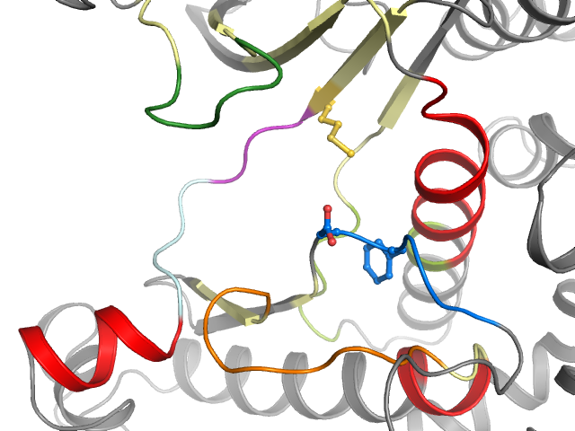 The orthosteric binding pocket