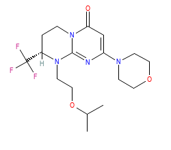 2D structure of the orthosteric ligand
