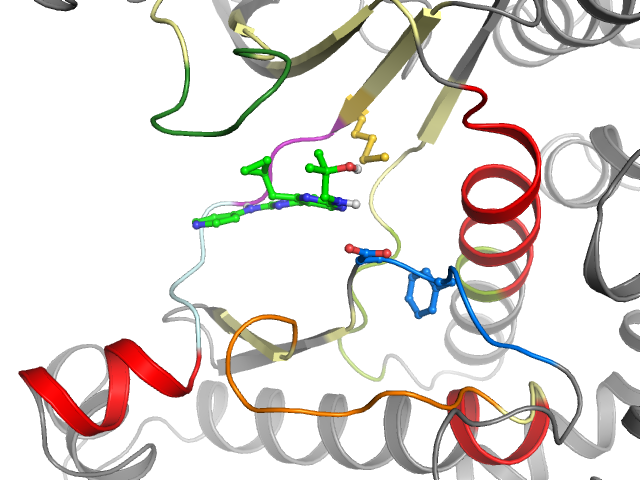 The orthosteric binding pocket