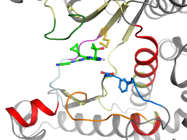 The orthosteric binding pocket