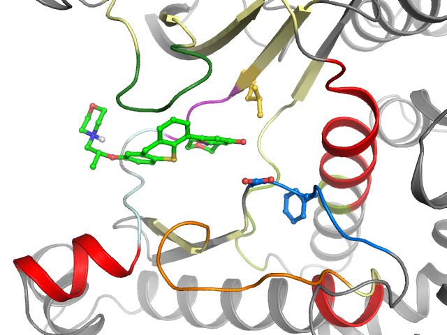 The orthosteric binding pocket